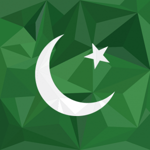 Pak E-Services Apk Download For Android