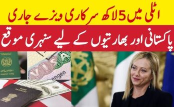 Italy Announces 500,000 New Work Visas: Full Details Inside APKSharp.com Italy Announces 500,000 New Work Visas: Full Details Inside